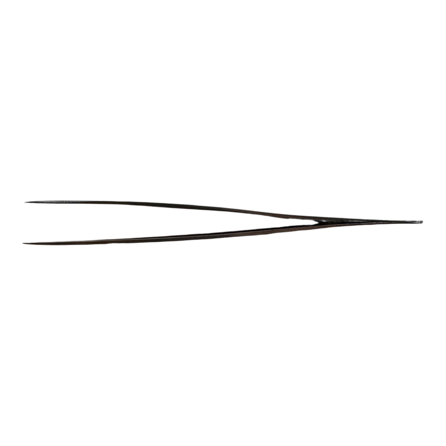 Tweezer - Precision S/S